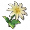 Xiang Ya Hua - Roco Kingdom: World Materials item image